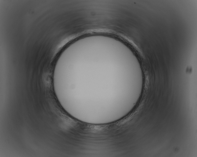 X0000091681266200708231059