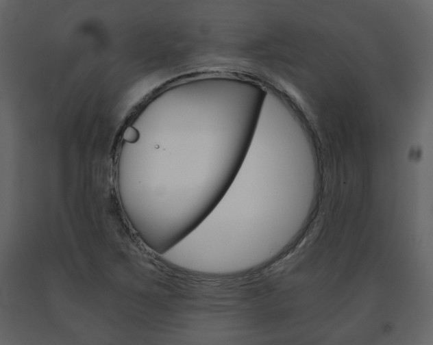 X0000091681267200708231059