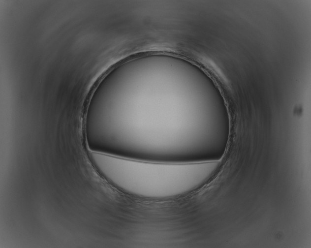 X0000091681268200708231059