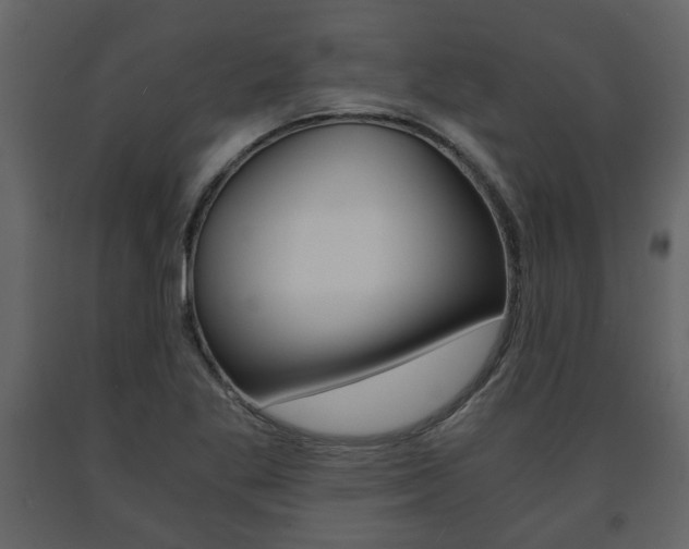 X0000091681269200708231059