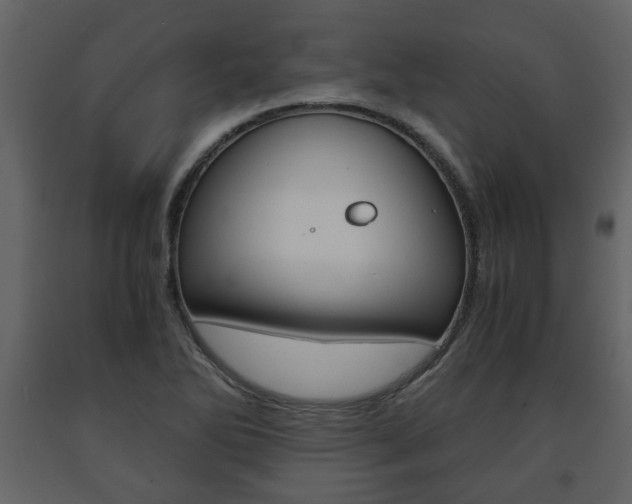 X0000091681270200708231059