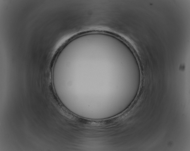 X0000091681271200708231059