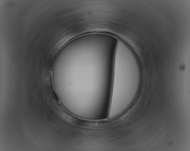 X0000091681273200708231059