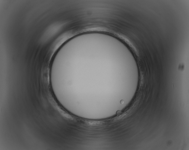 X0000091681274200708231059