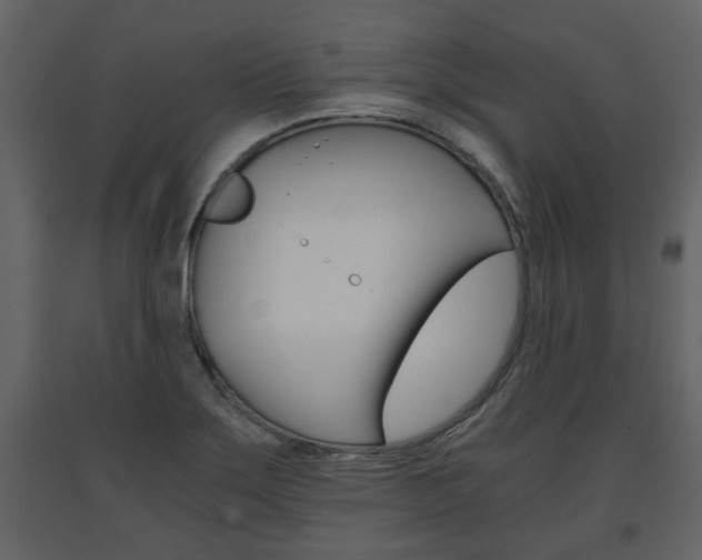 X0000091681275200708231059