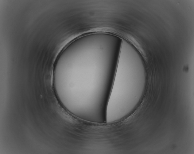X0000091681276200708231059