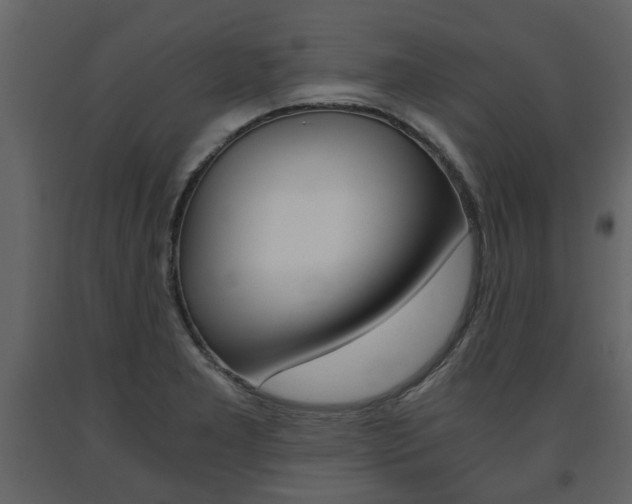 X0000091681277200708231059