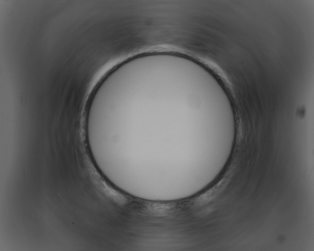 X0000091681278200708231059