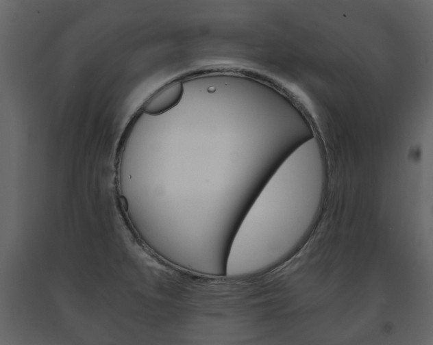 X0000091681279200708231059