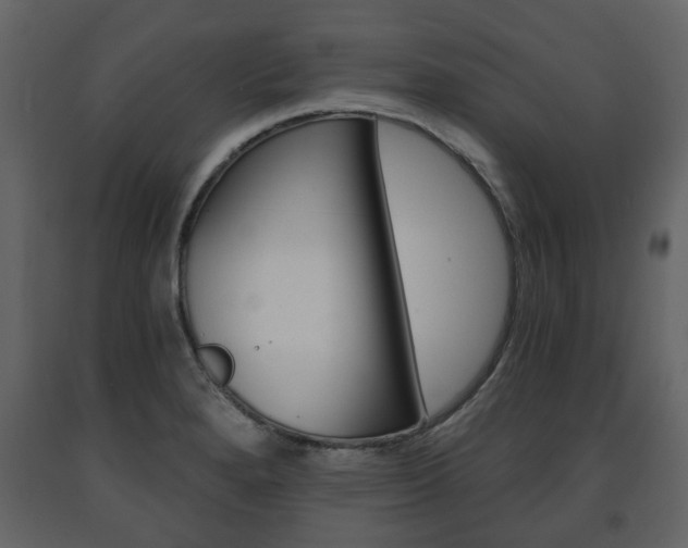 X0000091681280200708231059