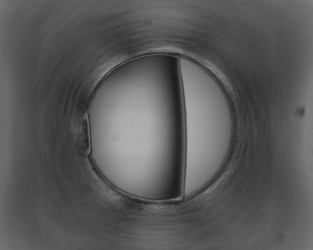 X0000091681281200708231059