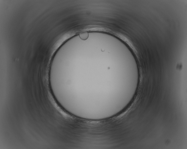 X0000091681282200708231059
