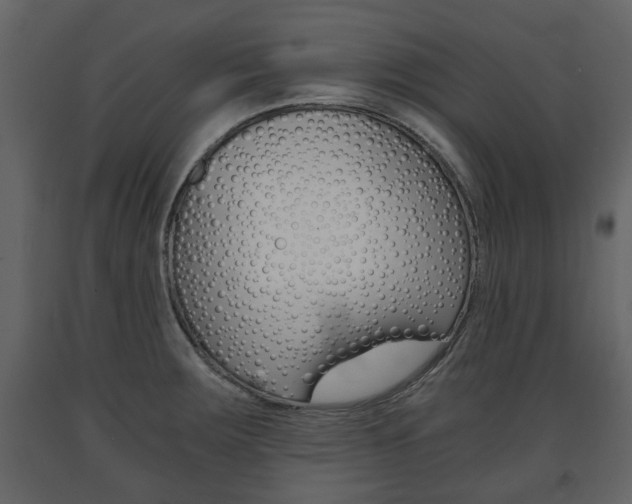 X0000091681283200708231059