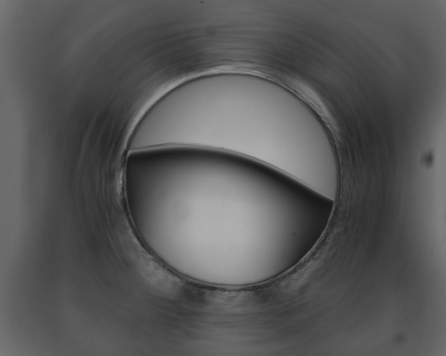 X0000091681284200708231059