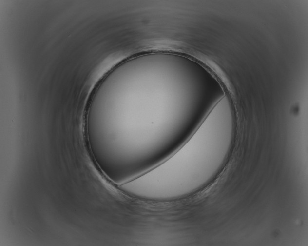 X0000091681285200708231059