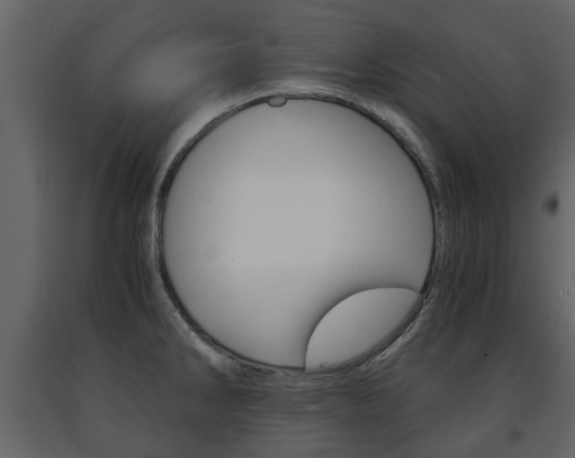 X0000091681286200708231059