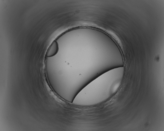 X0000091681287200708231059