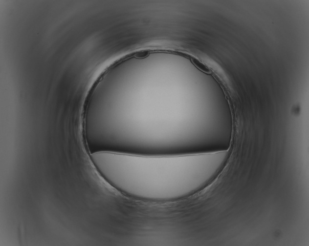 X0000091681288200708231059