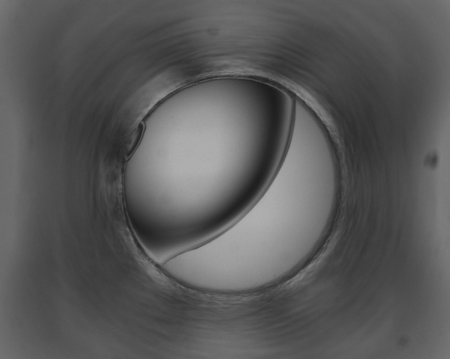 X0000091681289200708231059