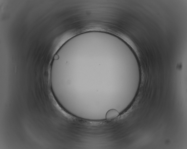 X0000091681290200708231059