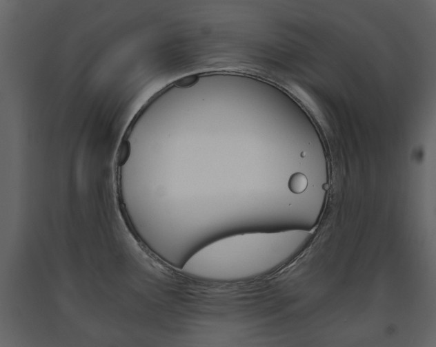 X0000091681291200708231059