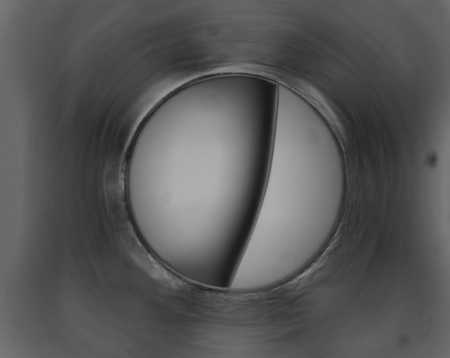 X0000091681292200708231059