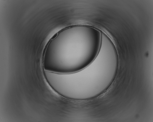 X0000091681293200708231059