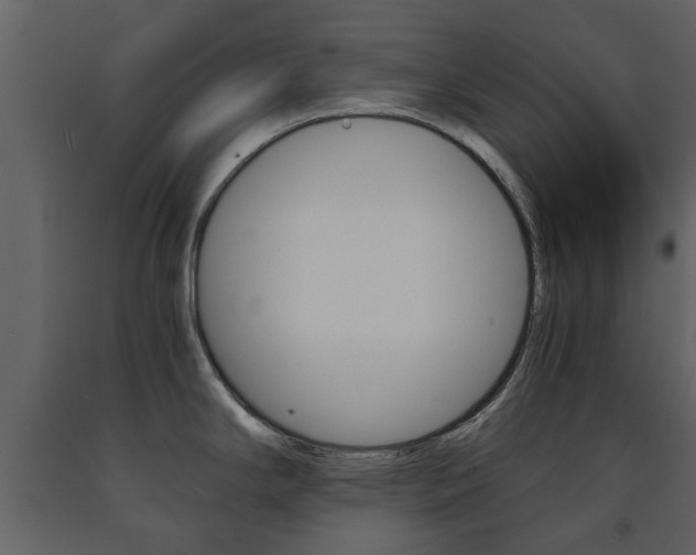 X0000091681294200708231059