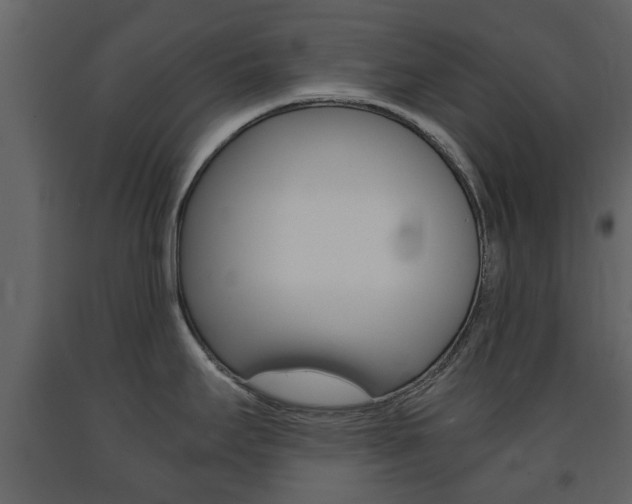 X0000091681295200708231059