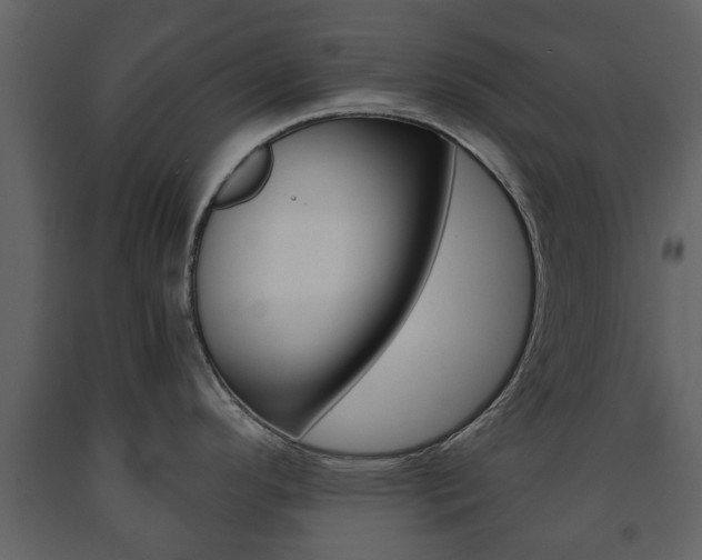 X0000091681296200708231059