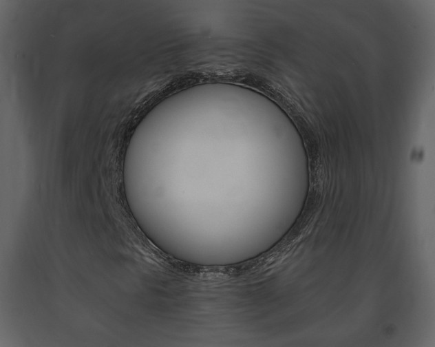 X0000091681297200708231058