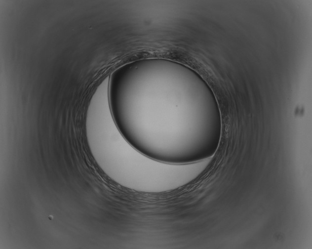X0000091681298200708231058