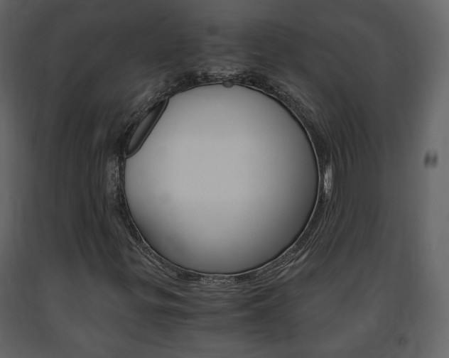 X0000091681299200708231058