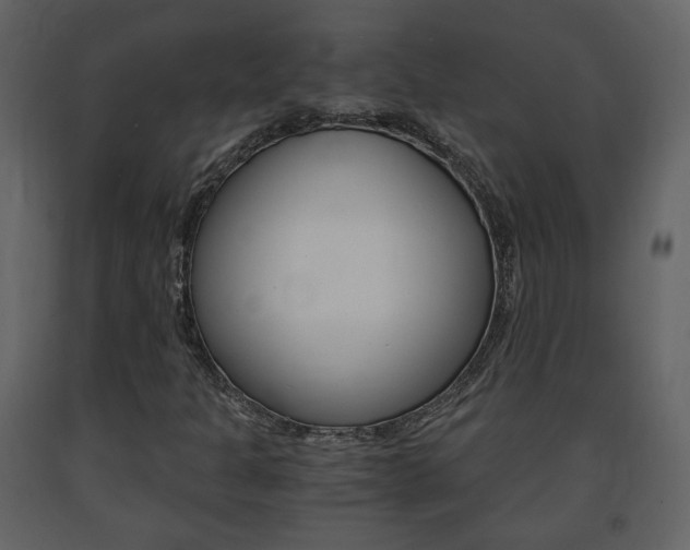 X0000091681301200708231058