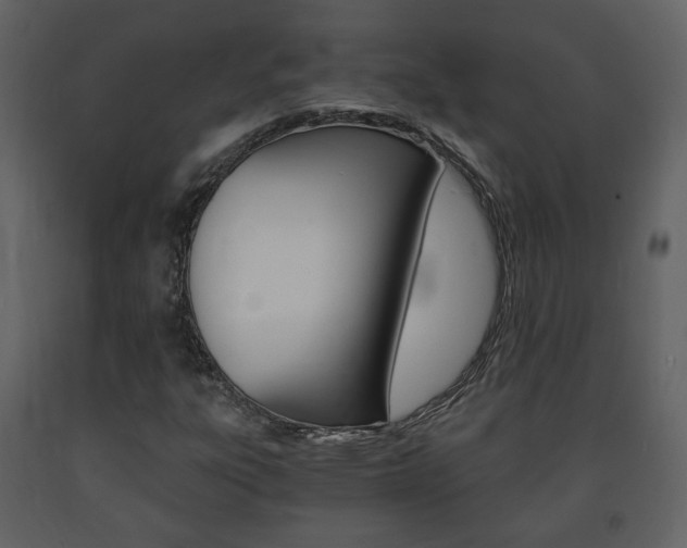 X0000091681303200708231058