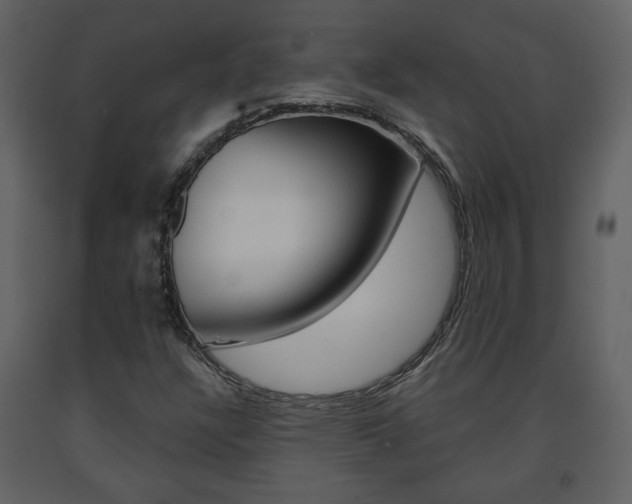 X0000091681304200708231058