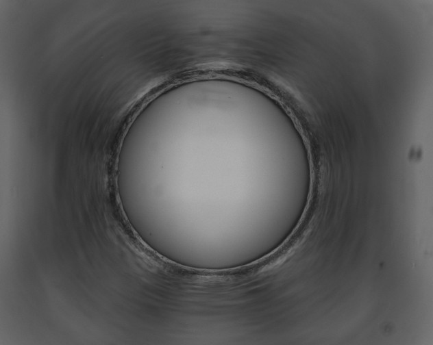 X0000091681305200708231058