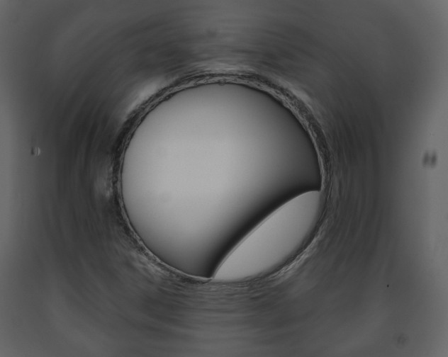 X0000091681306200708231058
