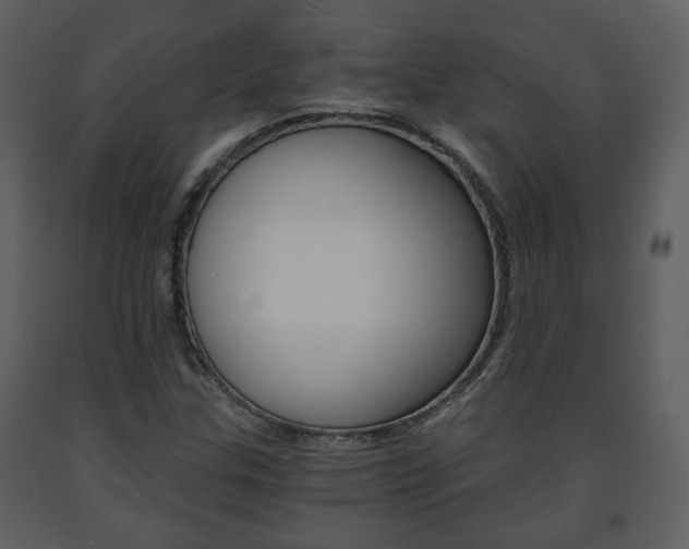 X0000091681307200708231058