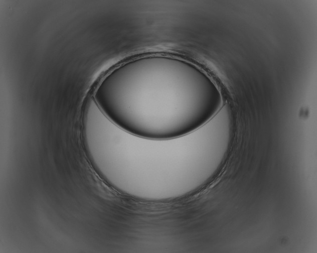 X0000091681308200708231058