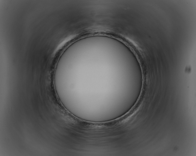 X0000091681309200708231058