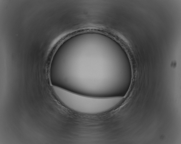 X0000091681310200708231058