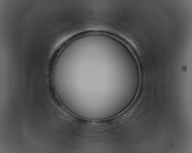 X0000091681311200708231058