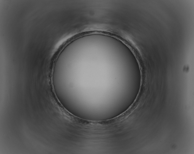 X0000091681312200708231058