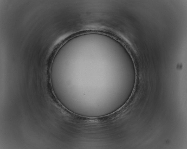 X0000091681315200708231058