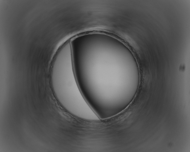 X0000091681316200708231058