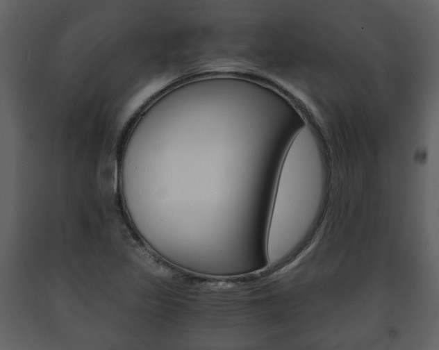 X0000091681317200708231058