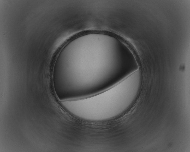 X0000091681319200708231058