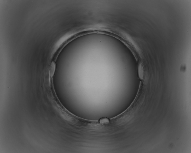 X0000091681320200708231058