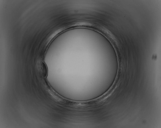 X0000091681321200708231058